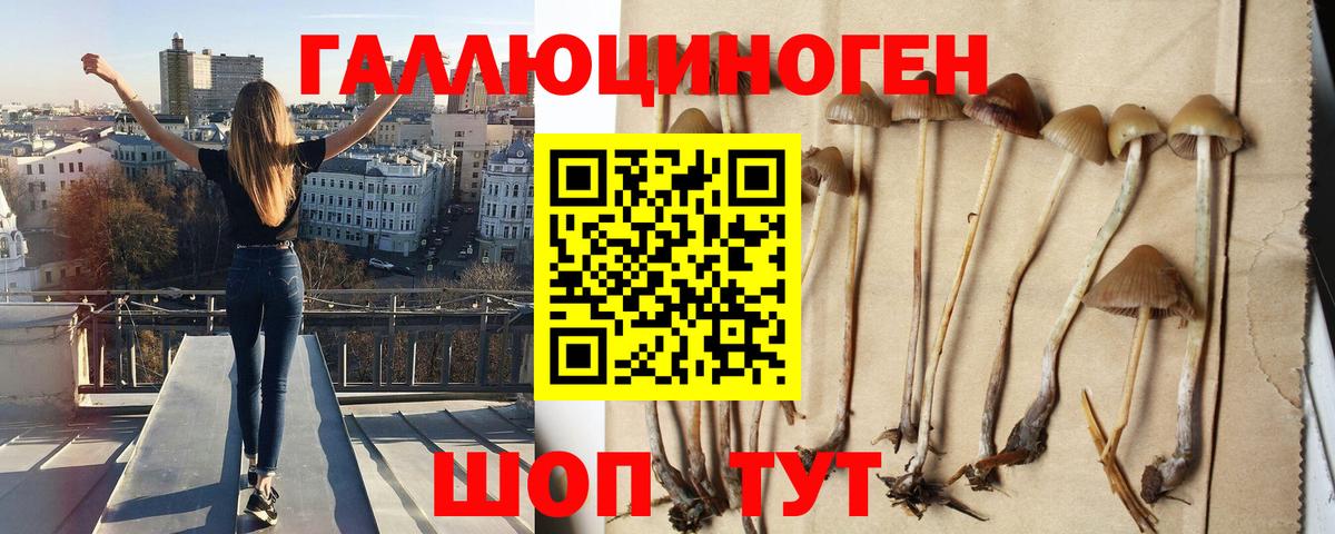 продажа наркотиков  Галлюциногенные грибы GOLDEN TEACHER  Вход с VPN  Галлюциногенные грибы мухоморы  Рубцовск 